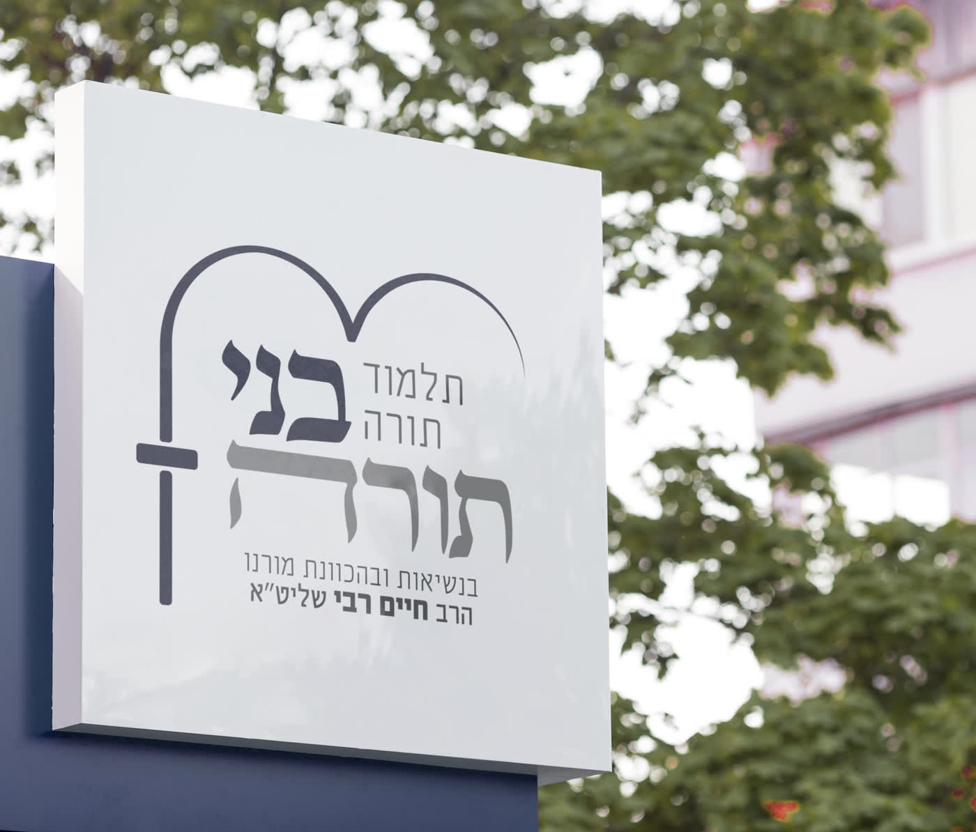 תלמוד תורה 'בני תורה'